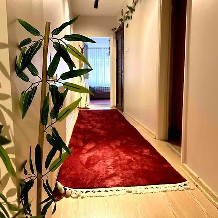 アパート Besiktasin Merkezinde 2+1 House *